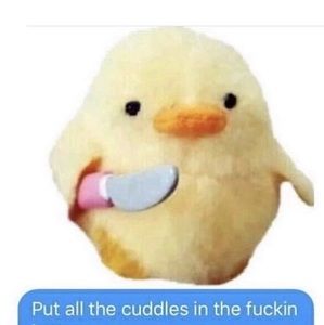 Meet your Posher, Kevin